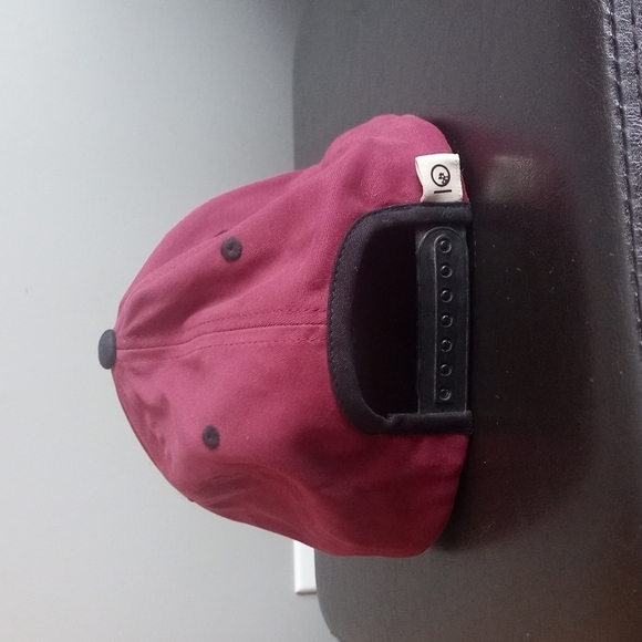 Tentree Cork Emblem Snapback Baseball Cap - Picture 8 of 10